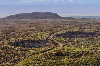 Galápagos